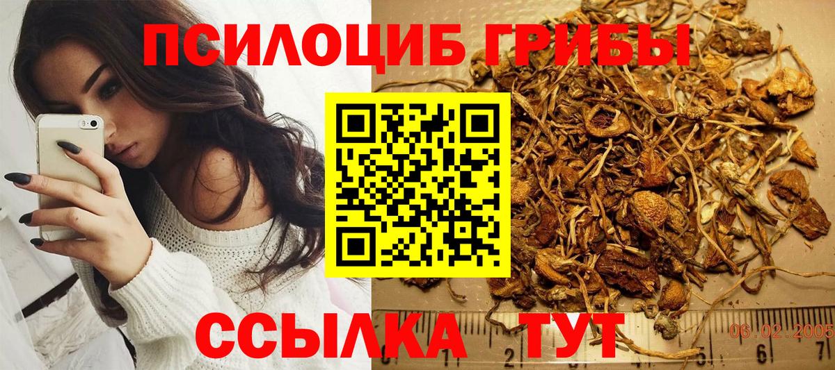 Псилоцибиновые грибы Magic Shrooms  Вход с VPN  Городец 